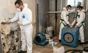 Mold remediation and water-damage restoration services in Yonkers, NY